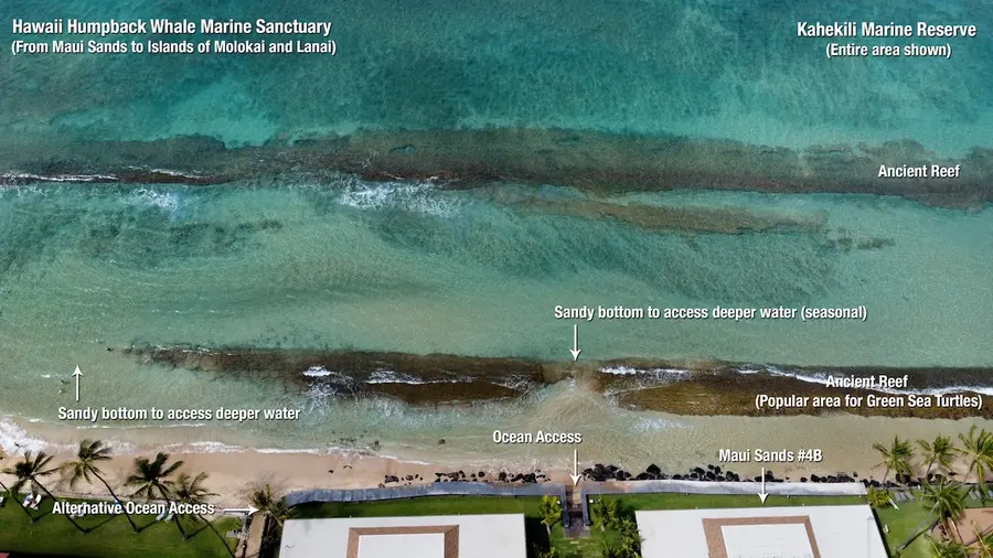 Kahekili marine reserve and reef in front of Maui Sands