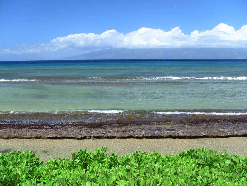 Maui Sands Unit 4B in West Maui